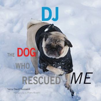 Hardcover DJ: The Dog Who Rescued Me Book