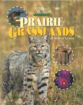Hardcover Prairie Grasslands (Our Wild World Ecosystems) Book