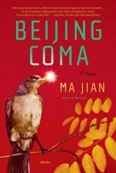 Paperback Beijing Coma Book