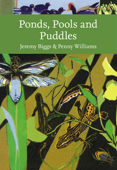 Paperback Ponds Pools & Puddles_nn Li PB Book