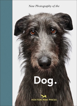 New Photography of the Dog.