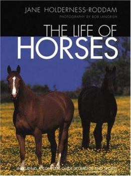 Hardcover The Life of Horses Book