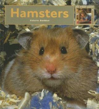 Hamsters - Book  of the My First Look At: Pets