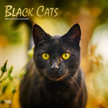 Calendar Black Cats 2024 Square Foil Book