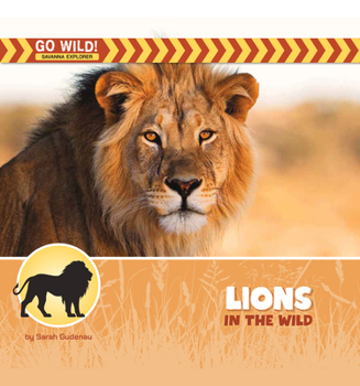 Lions in the Wild