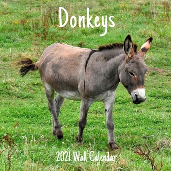 Donkeys 2021 Wall Calendar: Donkeys 2021 Calendar, 18 Months.