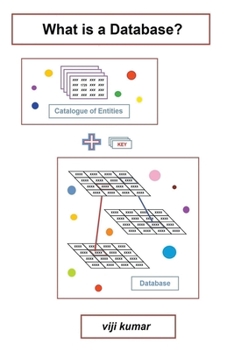 Paperback What is a Database? Book