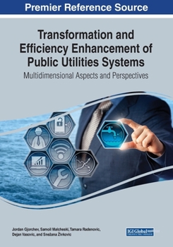 Paperback Transformation and Efficiency Enhancement of Public Utilities Systems: Multidimensional Aspects and Perspectives Book