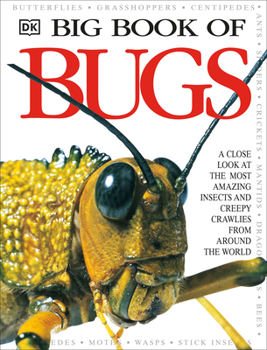 Hardcover Big Book of Bugs Book