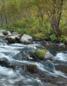 Paperback Low Vision Journal with Bold Lines 1/2" Spacing: Notebook for Visually Impaired 8.5" x 11" Rushing River Cover Book