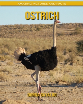 Paperback Ostrich: Amazing Pictures and Facts Book