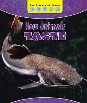 Library Binding How Animals Taste Book