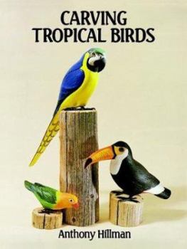 Paperback Carving Tropical Birds Book