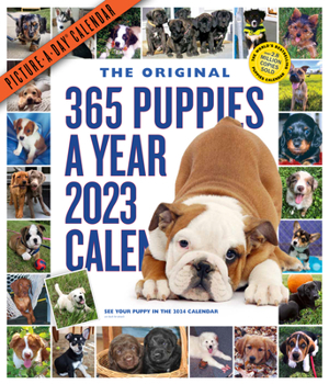 Calendar 365 Puppies-A-Year Picture-A-Day Wall Calendar 2023: Absolutely Spilling Over with Puppies Book