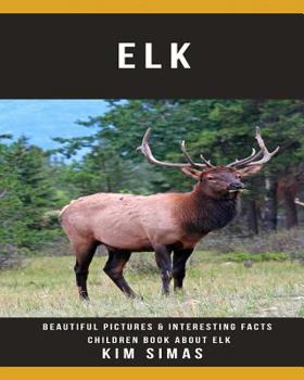 Paperback Elk: Beautiful Pictures & Interesting Facts Children Book about Elk Book