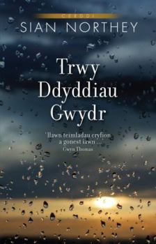 Paperback Trwy Ddyddiau Gwydr [Welsh] Book