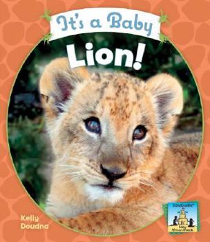 It's a Baby Lion! - Book  of the Baby Mammals