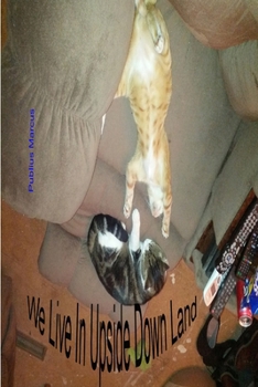 Paperback We Live In Upside Down Land Session 1 Book