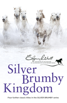 Silver Brumby Kingdom - Book #4 of the Silver Brumby