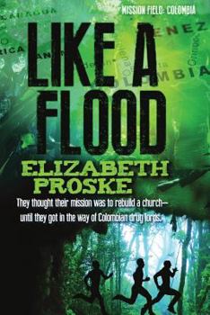 Paperback Like A Flood Book