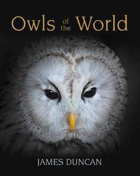 Paperback Owls of the World Book