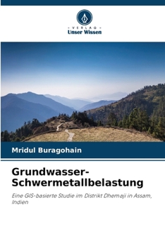 Paperback Grundwasser-Schwermetallbelastung [German] Book