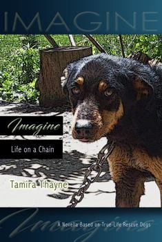 Paperback Imagine: Life on a Chain Book