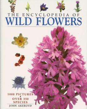 Hardcover The encyclopedia of wild flowers Book