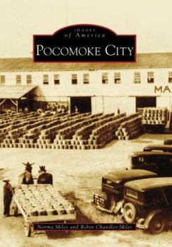 Paperback Pocomoke City Book