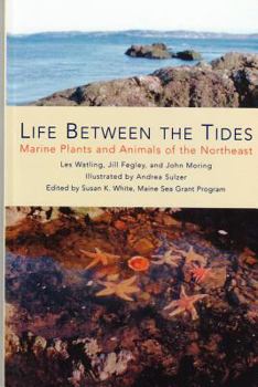 Paperback Life Between the Tides: Marine Plants and Animals of the Northeast Book