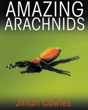 Hardcover Amazing Arachnids Book