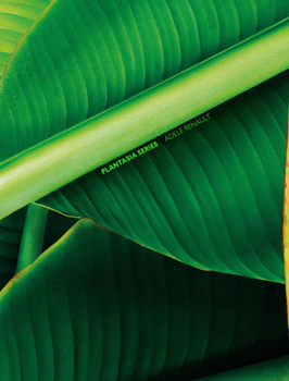 Paperback Plantasia Series Book