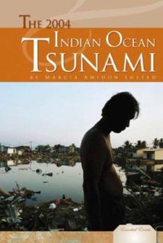 Library Binding The 2004 Indian Ocean Tsunami Book
