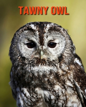 Paperback Tawny Owl: Amazing Facts about Tawny Owl Book