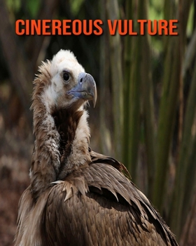 Cinereous Vulture: Amazing Facts about Cinereous Vulture
