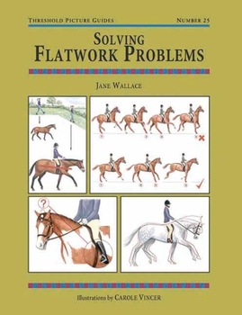 Paperback Solving Flatwork Problems Book