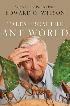 Hardcover Tales from the Ant World Book