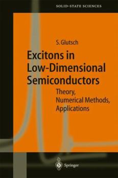 Hardcover Excitons in Low-Dimensional Semiconductors: Theory Numerical Methods Applications Book
