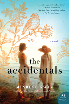 Paperback The Accidentals Book