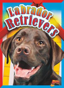 Paperback Labrador Retrievers Book