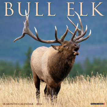 Calendar Bull Elk 2024 12 X 12 Wall Calendar Book