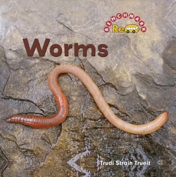 Library Binding Worms Book