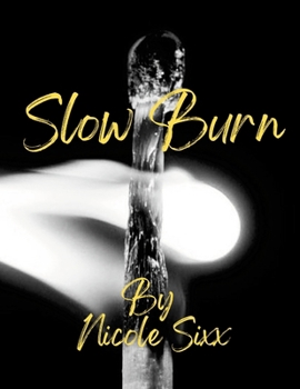 Paperback Slow Burn Book