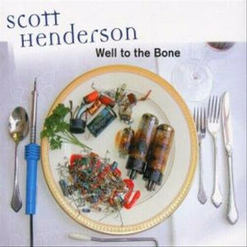 Music - CD Well To The Bone Book