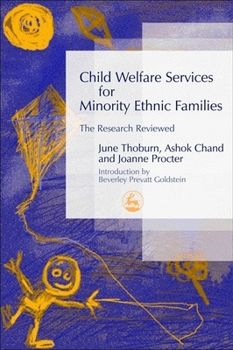 Paperback Child Welfare Services for Minority Ethnic Families: The Research Reviewed Book