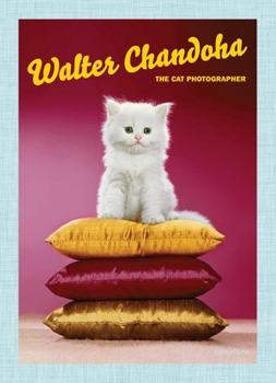 Hardcover Walter Chandoha: The Cat Photographer Book