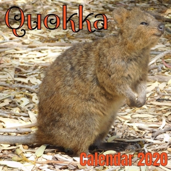 Quokka Calendar 2020
