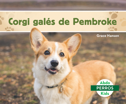 Corgi Galés de Pembroke