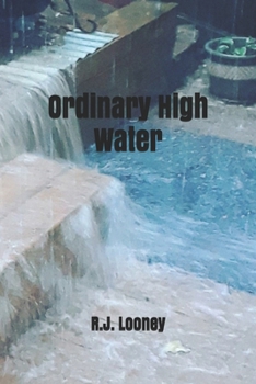 Paperback Ordinary High Water Book