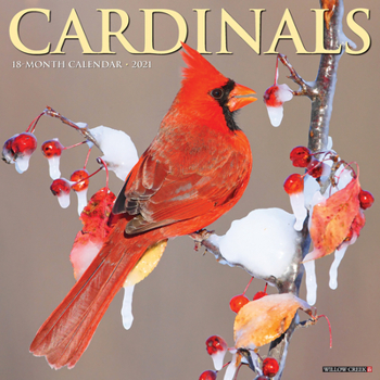Calendar Cardinals 2021 Wall Calendar Book